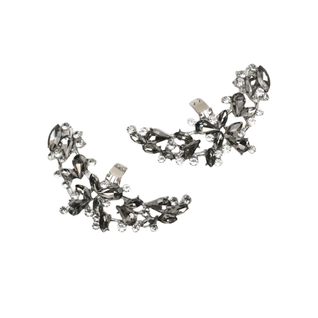 Grey crown
